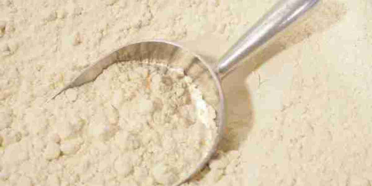 Bread Improvers Market Dynamics: Evolving Functional Needs, Clean Label Shifts, and Industrial Baking Growth