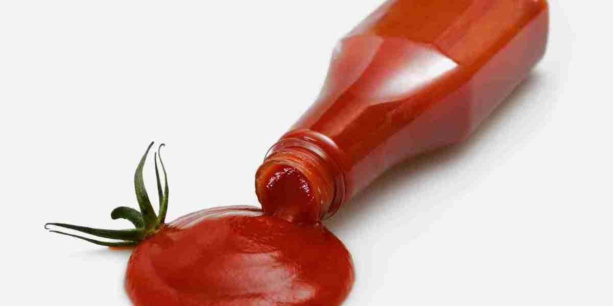 Tomato Ketchup Market Growth Supported by E-commerce, Health Trends, and Global Fast Food Culture