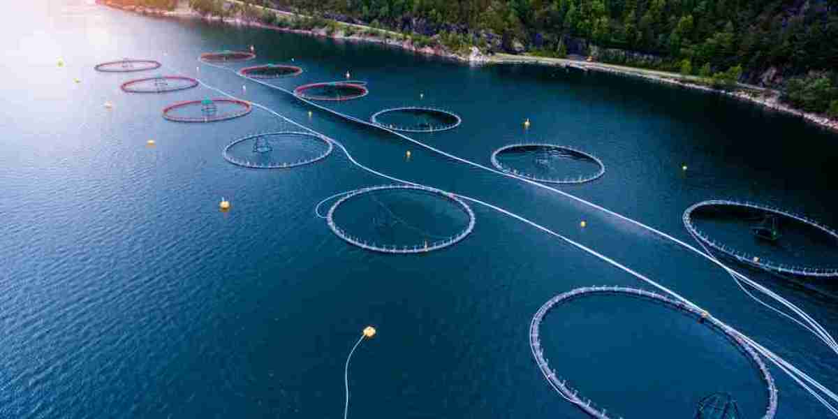 Aquaculture Market Forecast Shows Promising Growth Driven by Technology and Global Demand Shift