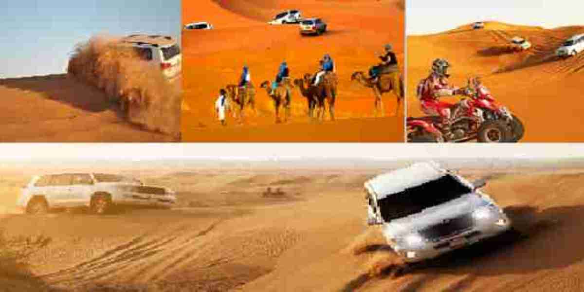 Abu Dhabi City Tour – Explore in Full Elegance