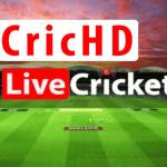 cricket news