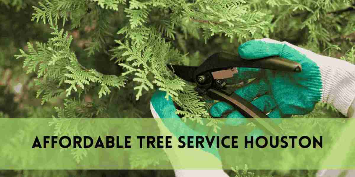 Affordable Tree Removal and Cheap Tree Trimming Service | Safe and Budget-Friendly Yard Care