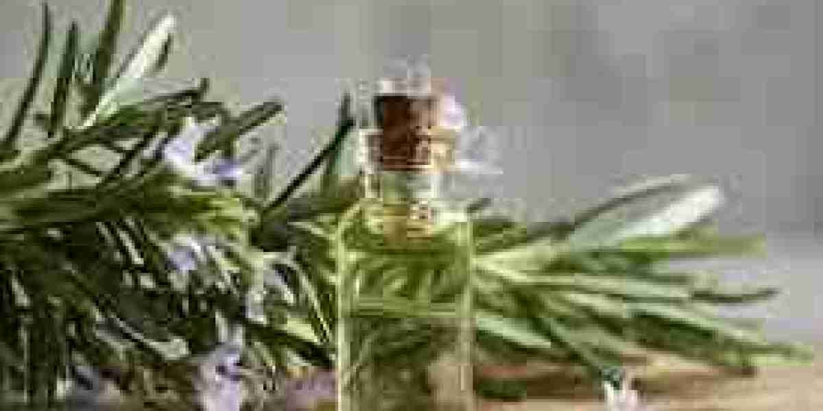 Rosemary Extract Market Development Driven by Clean-Label and Health Trends