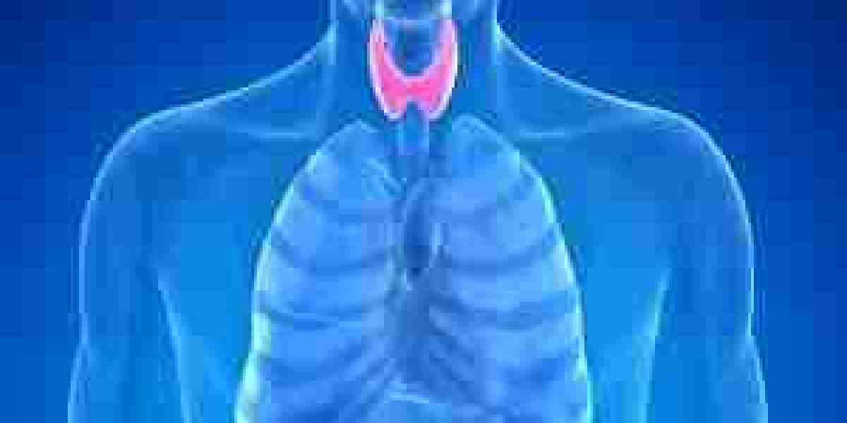 Thyroid Function Test Market Expands Amid Increasing Diagnostic Rates and Access to At-Home Testing Kits