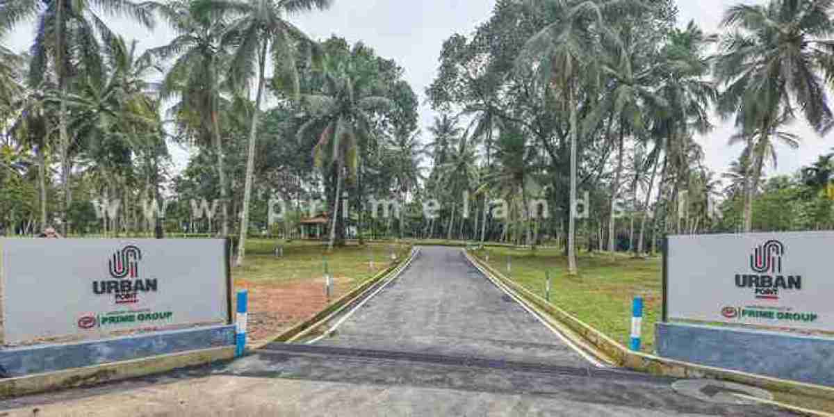 How Much Is My Land Worth - Guide to Finding the Market Value of Vacant Land