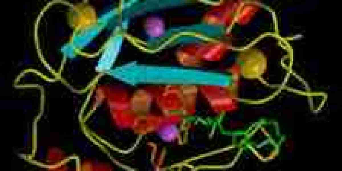 Marine Enzymes Market Scope Expands with Industrial and Biotech Innovations